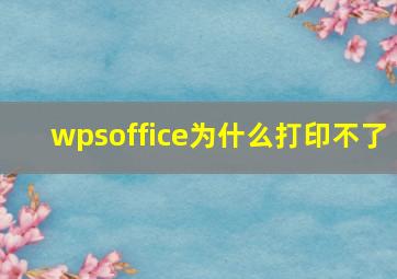 wpsoffice为什么打印不了