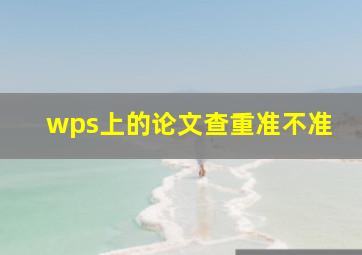 wps上的论文查重准不准