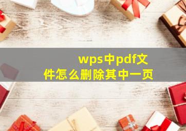 wps中pdf文件怎么删除其中一页