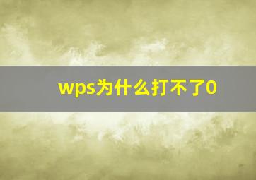 wps为什么打不了0