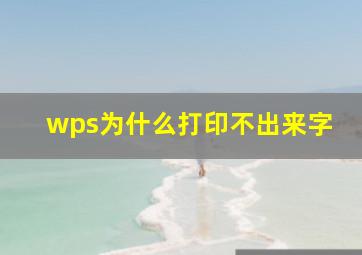 wps为什么打印不出来字