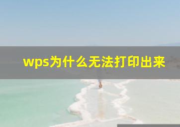 wps为什么无法打印出来