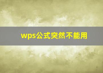 wps公式突然不能用