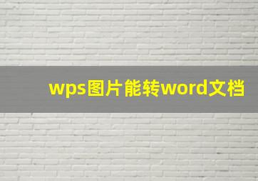 wps图片能转word文档