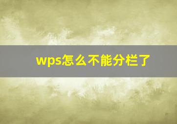 wps怎么不能分栏了