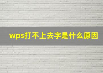 wps打不上去字是什么原因