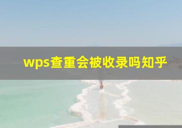 wps查重会被收录吗知乎