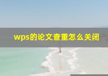 wps的论文查重怎么关闭