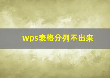 wps表格分列不出来