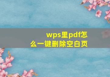 wps里pdf怎么一键删除空白页