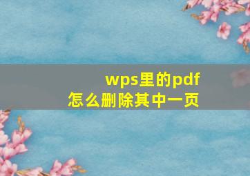 wps里的pdf怎么删除其中一页