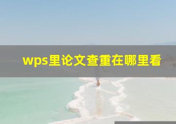 wps里论文查重在哪里看