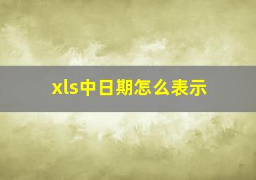 xls中日期怎么表示