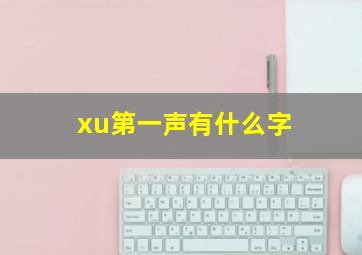 xu第一声有什么字