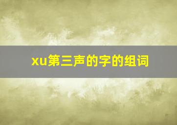 xu第三声的字的组词