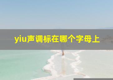 yiu声调标在哪个字母上