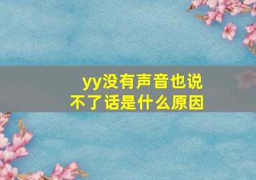 yy没有声音也说不了话是什么原因