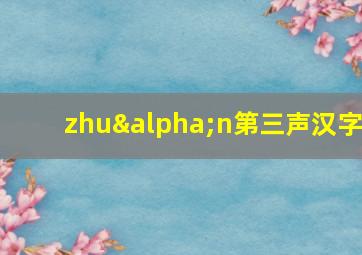 zhuαn第三声汉字