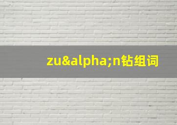 zuαn钻组词