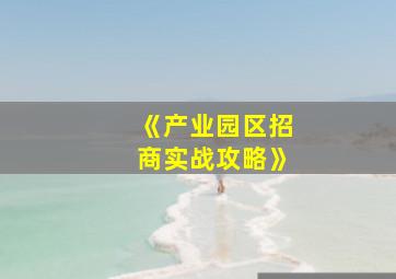 《产业园区招商实战攻略》