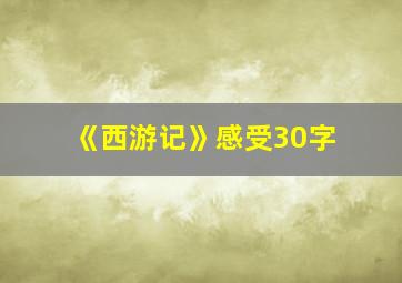 《西游记》感受30字