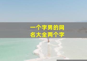 一个字男的网名大全两个字