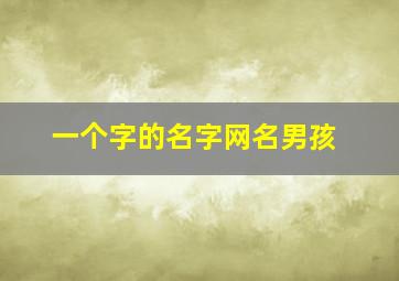 一个字的名字网名男孩