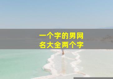 一个字的男网名大全两个字