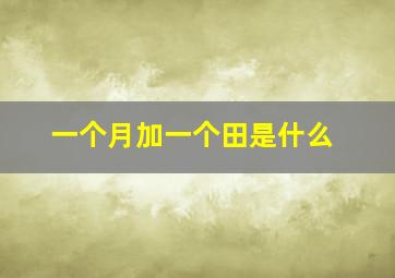 一个月加一个田是什么