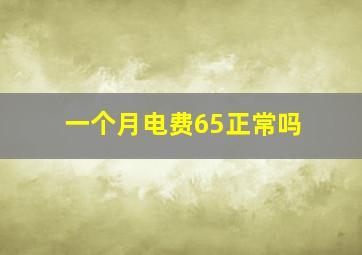 一个月电费65正常吗