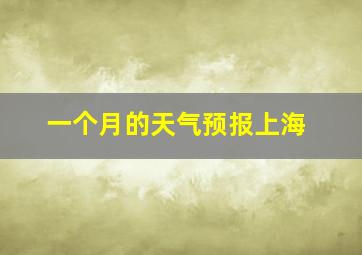 一个月的天气预报上海