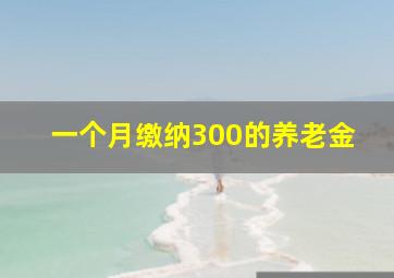 一个月缴纳300的养老金