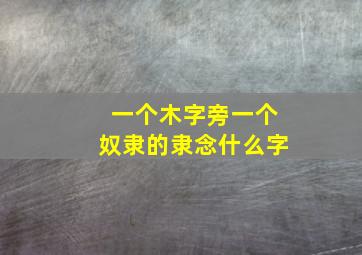 一个木字旁一个奴隶的隶念什么字