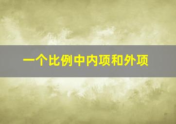 一个比例中内项和外项