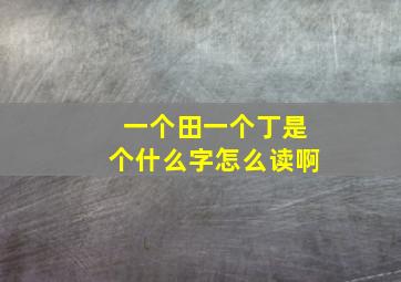 一个田一个丁是个什么字怎么读啊