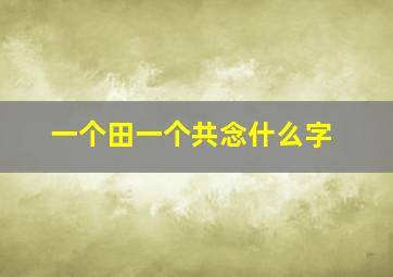 一个田一个共念什么字