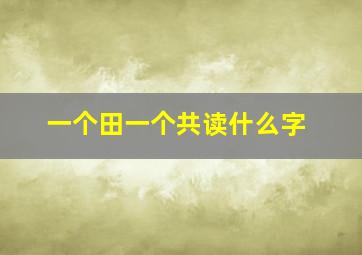 一个田一个共读什么字