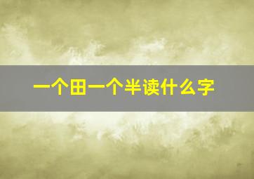 一个田一个半读什么字