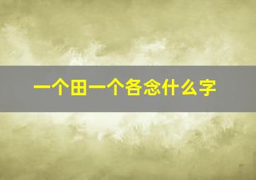 一个田一个各念什么字