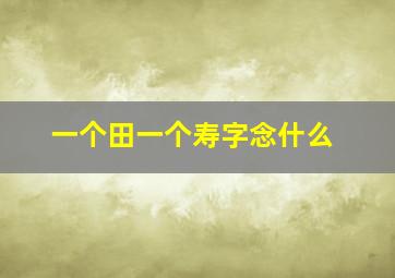 一个田一个寿字念什么