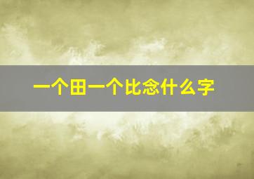 一个田一个比念什么字