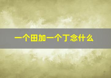 一个田加一个丁念什么