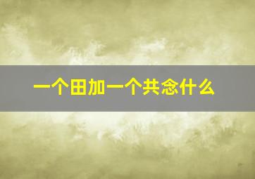 一个田加一个共念什么