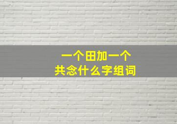 一个田加一个共念什么字组词