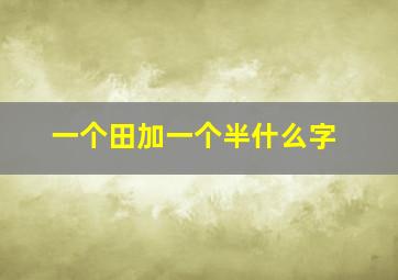 一个田加一个半什么字