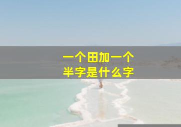 一个田加一个半字是什么字