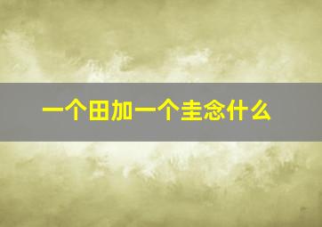 一个田加一个圭念什么