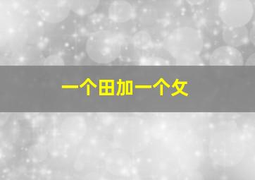 一个田加一个攵