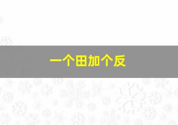 一个田加个反