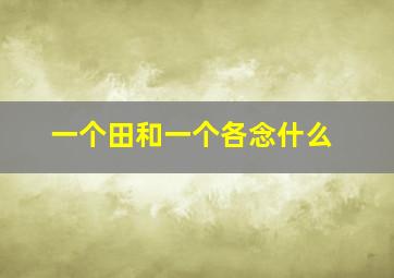 一个田和一个各念什么